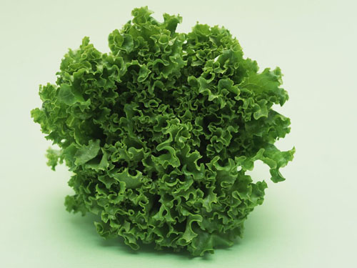 生菜