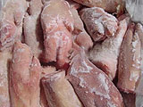 肉类食材销售公司
