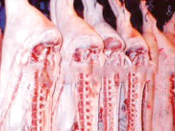 肉类食材销售
